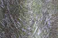 South Kelsey fibreglass roof work